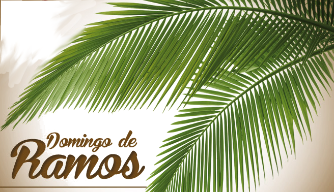 02/04/2023: Domingo de Ramos da Paixão do Senhor – Santa Cecília – Cantos  para Missa